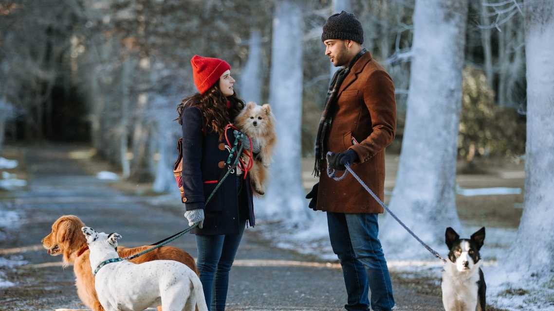 Kuce se vole za Božić (Sit. Stay. Love. / Puppy Love for Christmas