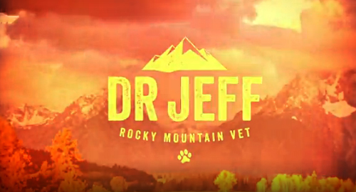 Dr Džef: Veterinar Stenovitih planina